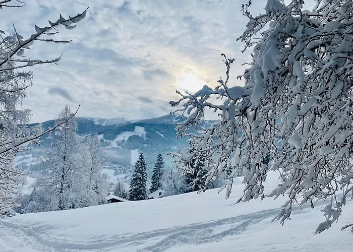 Alpenliebe Apartment Bad Kleinkirchheim
